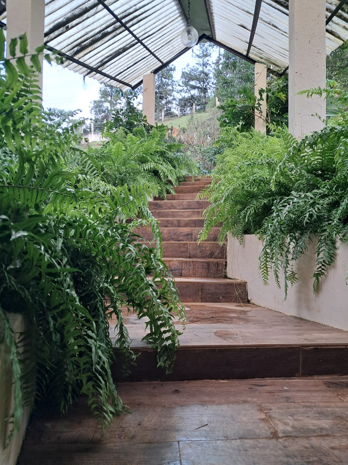 Vendo casa Cerro Azúl, Altos del Guardían, Inversión